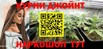 ALPHA-PVP Партизанск