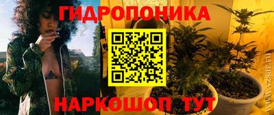 ALPHA-PVP Партизанск