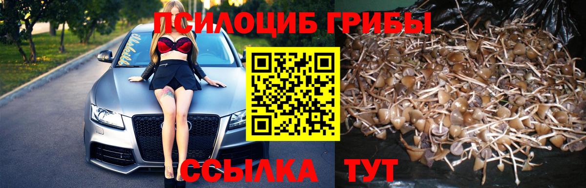 Псилоцибиновые грибы прущие грибы Саров